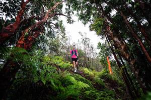 BIB: 
                            <button type="button" onclick="openModal(26202230)" class="btn btn-primary btn-sm float-right btn-popup" data-toggle="modal" data-target=".modal-high-quality">
                        <i class="fas fa-shopping-cart"></i> Add to Cart
                    </button>
                                            <button type="button" onclick="isThisMe(26202230, true)" class="btn btn-success btn-sm float-right btn-popup btn-isme hidden" data-toggle="tooltip" data-placement="bottom" title="นี่คือรูปของคุณใช่ไหม คลิกที่นี่เพื่อเอาเข้าอัลบั้ม">
                        <i class="fas fa-plus"></i> Add to album
                    </button>
                    <button type="button" onclick="isThisMe(26202230, false)" class="btn btn-warning btn-sm float-right btn-popup btn-isnotme hidden">
                        <i class="fas fa-ban"></i> Remove from album
                    </button>